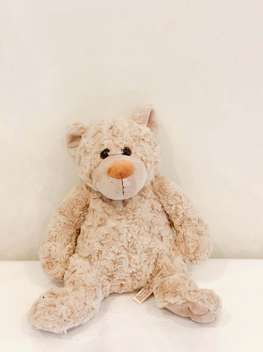 Teddy Bear Gift